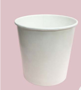 Take-Out Paper Soup Container 16 oz case of 1000
