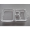 Hinged Lid Containers