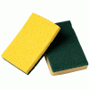 Scouring Pads & Sponges