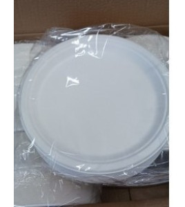 10&quot; round plates sugarcane case of 500
