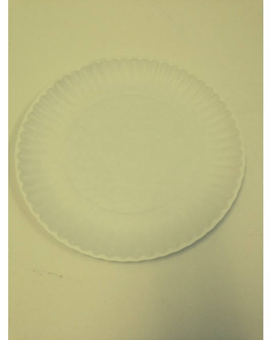 Eilat: 6" Inch Paper Plates (pizza plates) 100 pack