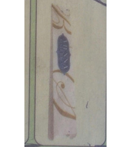 Vienna paper bag 1000/case 