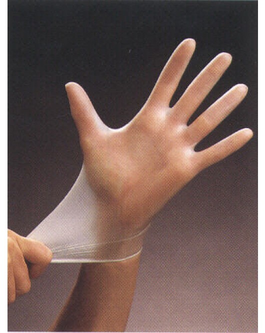 H-Ray: Powder Free Vinyl Gloves 100 per / Box