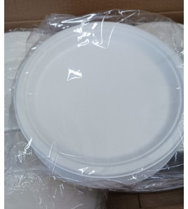9&quot; sugarcane round plates pack of 125 